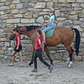 AUH – Activities using horses