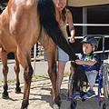 First hiporehabilitation stay (Přeštěnice u&nbsp;Milevska, June 2013)