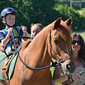 First hiporehabilitation stay (Přeštěnice u&nbsp;Milevska, June 2013)