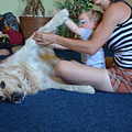 First hiporehabilitation stay (Přeštěnice u&nbsp;Milevska, June 2013)