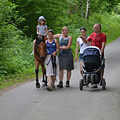 First hiporehabilitation stay (Přeštěnice u&nbsp;Milevska, June 2013)