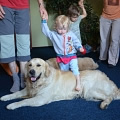 Third hiporehabilitation stay (Přeštěnice u&nbsp;Milevska, August 2013)