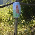 Third hiporehabilitation stay (Přeštěnice u&nbsp;Milevska, August 2013)