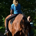 Third hiporehabilitation stay (Přeštěnice u&nbsp;Milevska, August 2013)