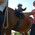 Third hiporehabilitation stay (Přeštěnice u&nbsp;Milevska, August 2013)