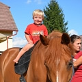 Third hiporehabilitation stay (Přeštěnice u&nbsp;Milevska, August 2013)